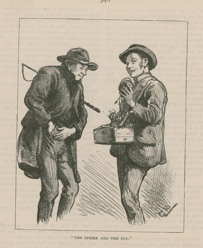 Örümcek ve Sinek by English School