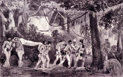 Sedye by English School