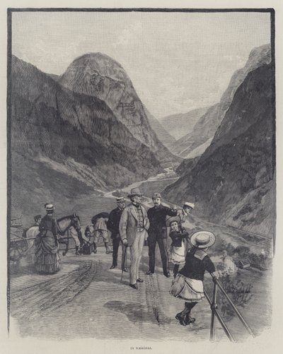 Norveç