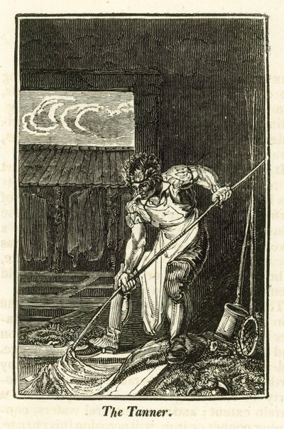 Tanner (gravür) by English School