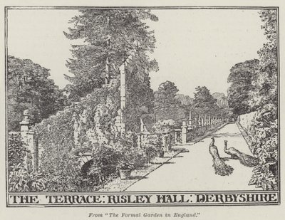 Teras, Risley Hall, Derbyshire (gravür) by English School