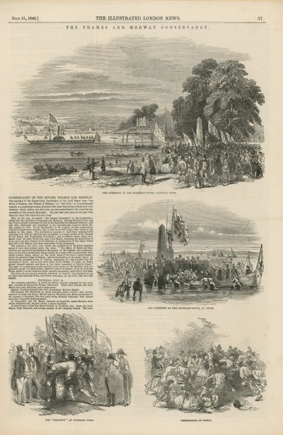 Thames ve Medway Koruma Alanı by English School
