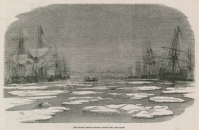 Thames köprünün altında by English School