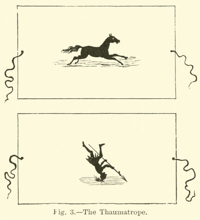 Thaumatrope by English School
