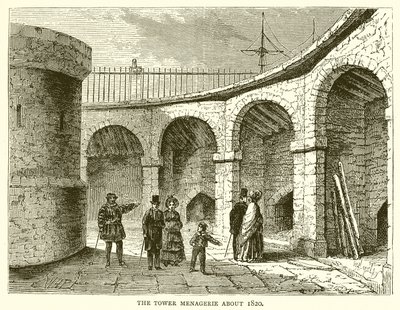 Kule Menagerie yaklaşık 1820 by English School