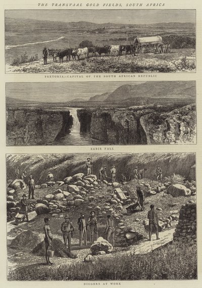 Transvaal Altın Tarlaları, Güney Afrika (gravür) by English School