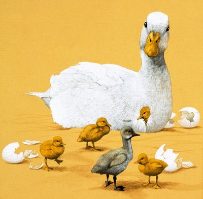 Çirkin ördek yavrusu by English School