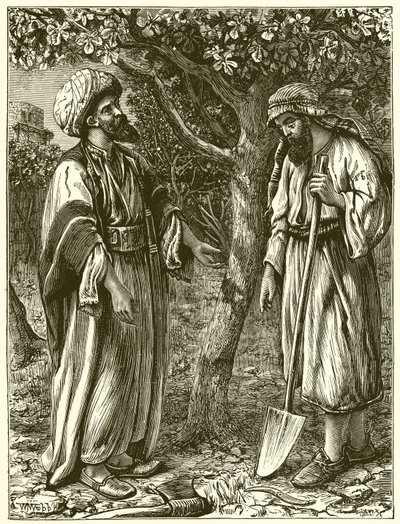 meyve vermeyen ağaç by English School