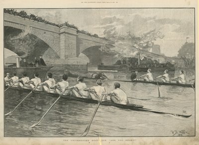 Üniversiteler tekne yarışı by English School