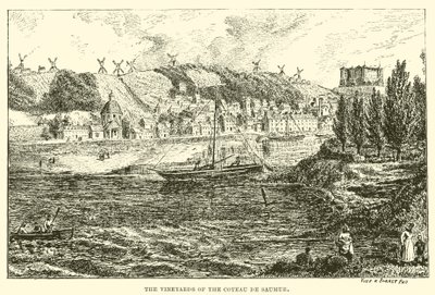 Coteau de Saumur
