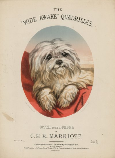 Uyanık Dörtgenler by English School