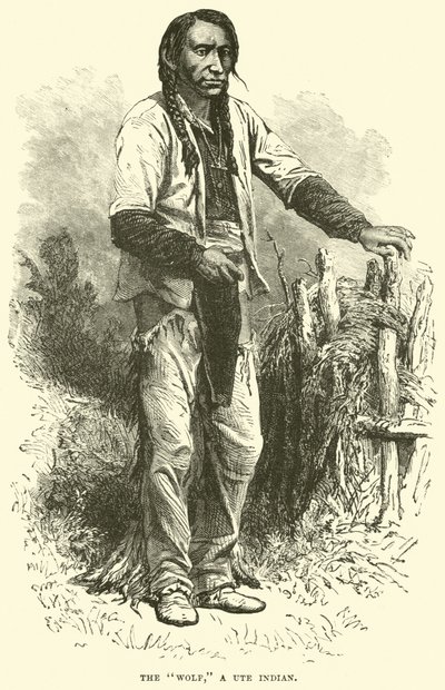 Kurt, bir Ute Kızılderilisi by English School