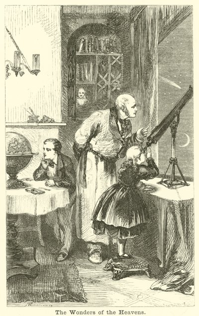 Cennetin Harikaları by English School