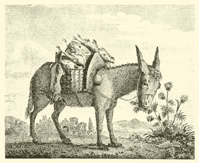 Devedikeni yiyen eşek (gravür) by English School