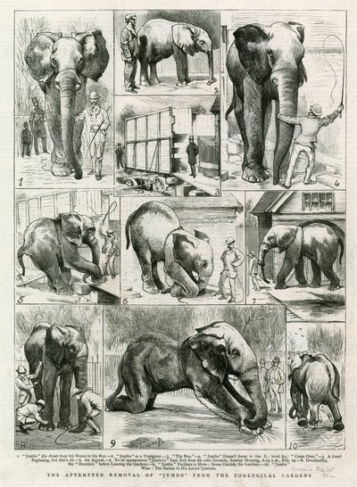 Jumbo
