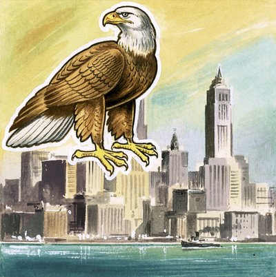 The bald eagle, emblem of the United States by English School