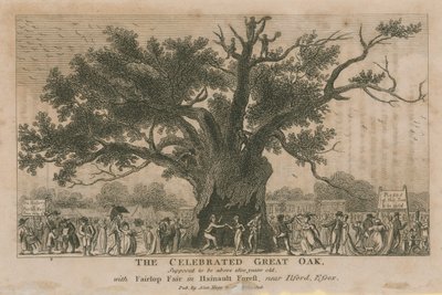 1800 yaşından büyük olduğu varsayılan ünlü Great Oak by English School