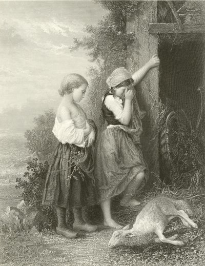 ölü kuzu by English School