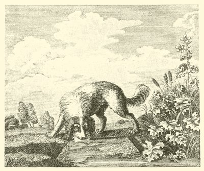 Köpek ve gölge (gravür) by English School