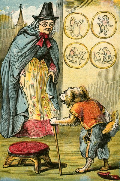 Köpek bir yay yaptı by English School