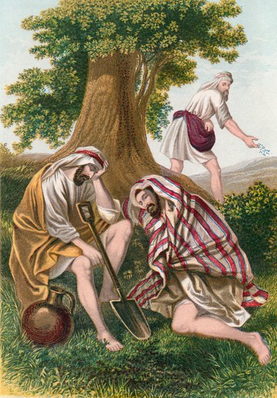 Dara eken düşman by English School