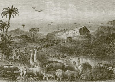 Gemiye giriş by English School