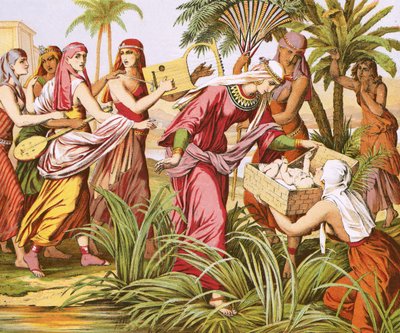 Musa