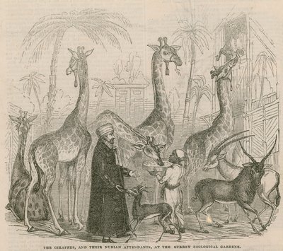 Zürafalar ve Nubian görevlileri by English School