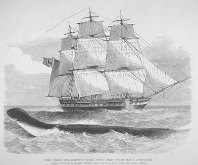 Büyük deniz yılanı, 1848