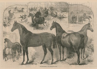 Tarım Salonunda at gösterisi by English School