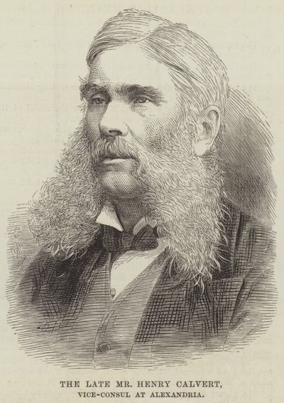 Geç Bay Henry Calvert, İskenderiye