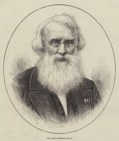 Merhum Profesör Morse (gravür) by English School