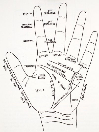 elin dağı aras by English School