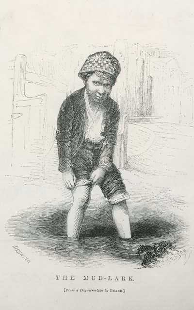 çamur by English School
