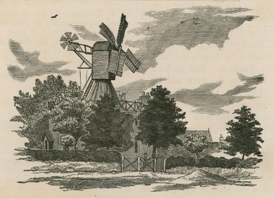 Wimbledon Common