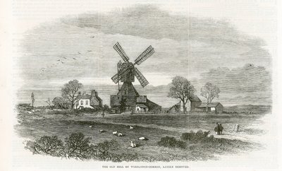 Wimbledon Common
