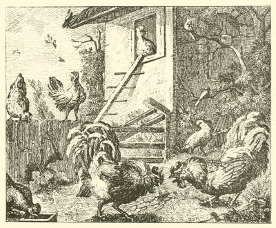 Keklik ve horozlar (gravür) by English School