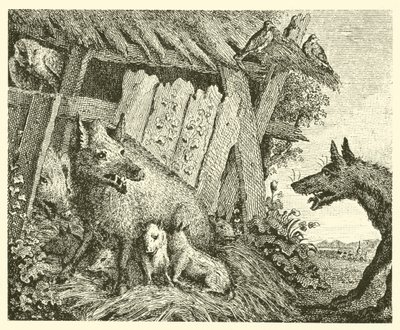Dişi domuz ve kurt (gravür) by English School