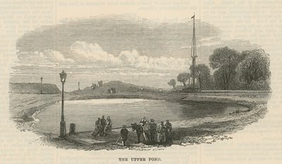 Üst gölet, Hampstead Heath by English School
