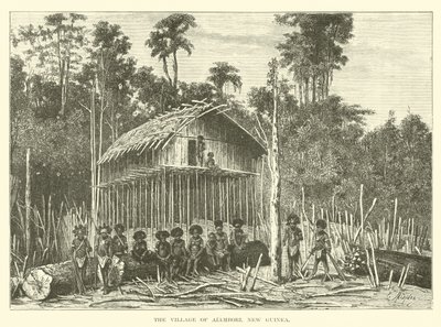 Alambori Köyü, Yeni Gine by English School