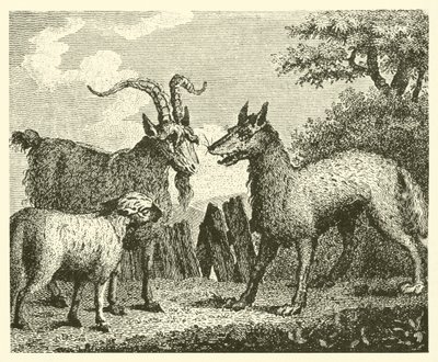 Kurt, kuzu ve keçi (gravür) by English School