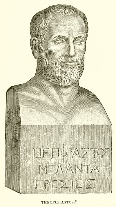 Theophrastos by English School