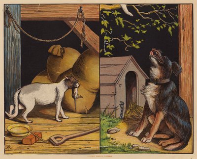 Bu Kedi; Bu Köpek (renkli taş baskı) by English School