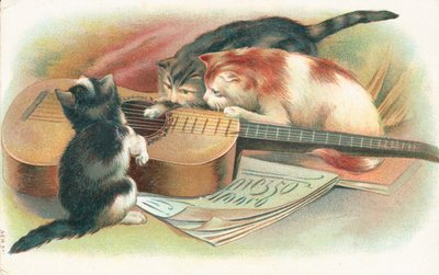 Akustik gitarla oynayan üç kedi by English School