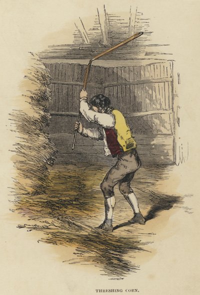 Harmanlı Mısır (renkli gravür) by English School