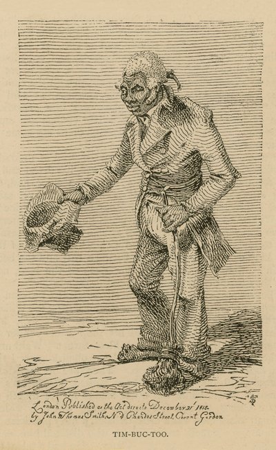 Tim-buc-çok by English School