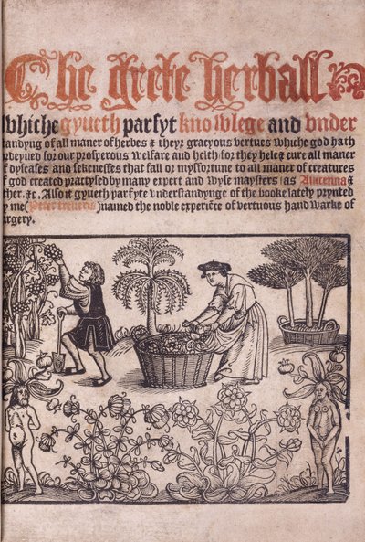 Şekillerle bir bahçe sahnesini gösteren başlık sayfası, 1529 by English School