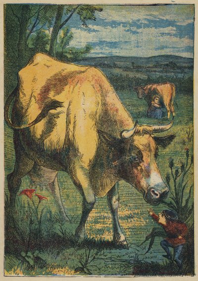 Tom Thumb ve İnek (renkli taş) by English School