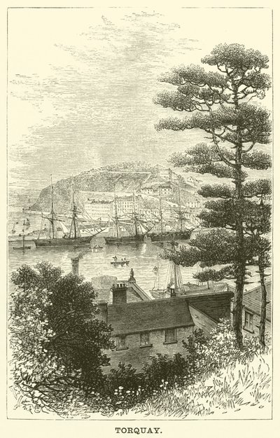 Torquay (gravür) by English School