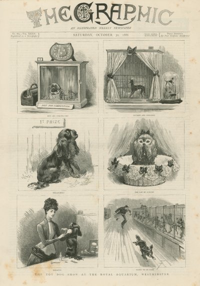 Kraliyet Akvaryumu'nda oyuncak köpek gösterisi by English School